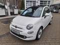 Fiat 500C Dolcevita 1.0 GSE Hybrid (70 PS) Weiß - thumbnail 1