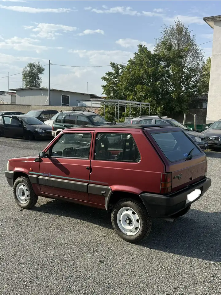 Fiat Panda 1.1 Country Club 4x4, foto 4