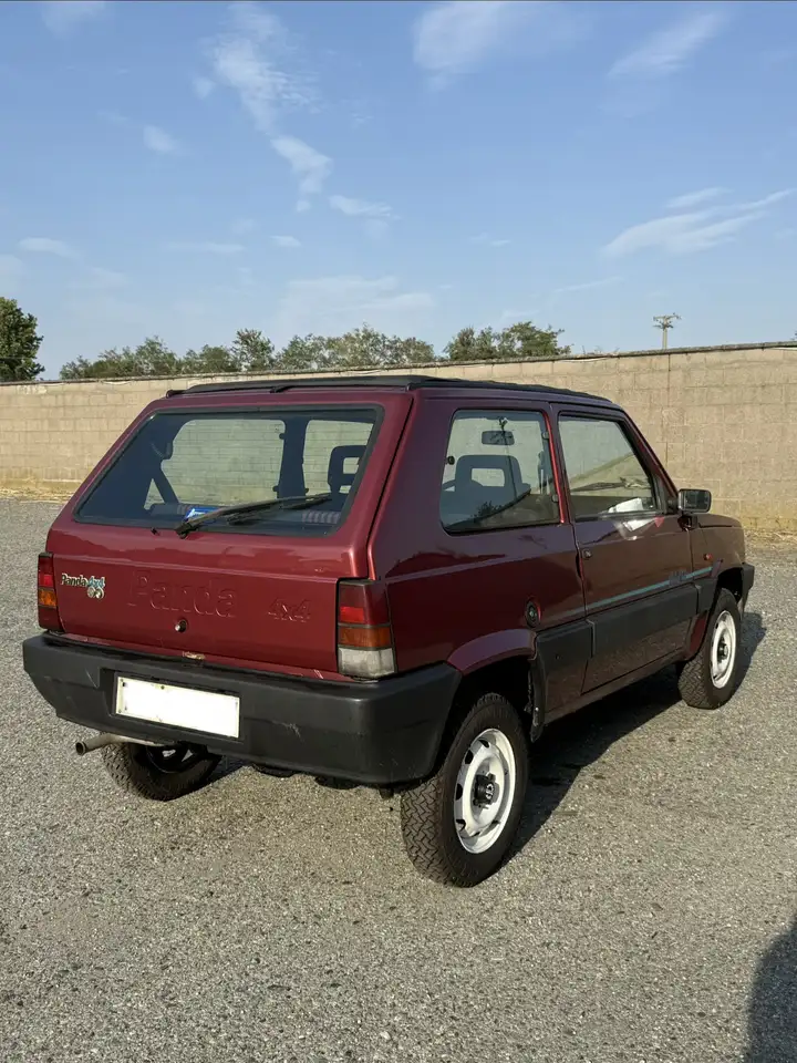 Fiat Panda 1.1 Country Club 4x4, foto 2