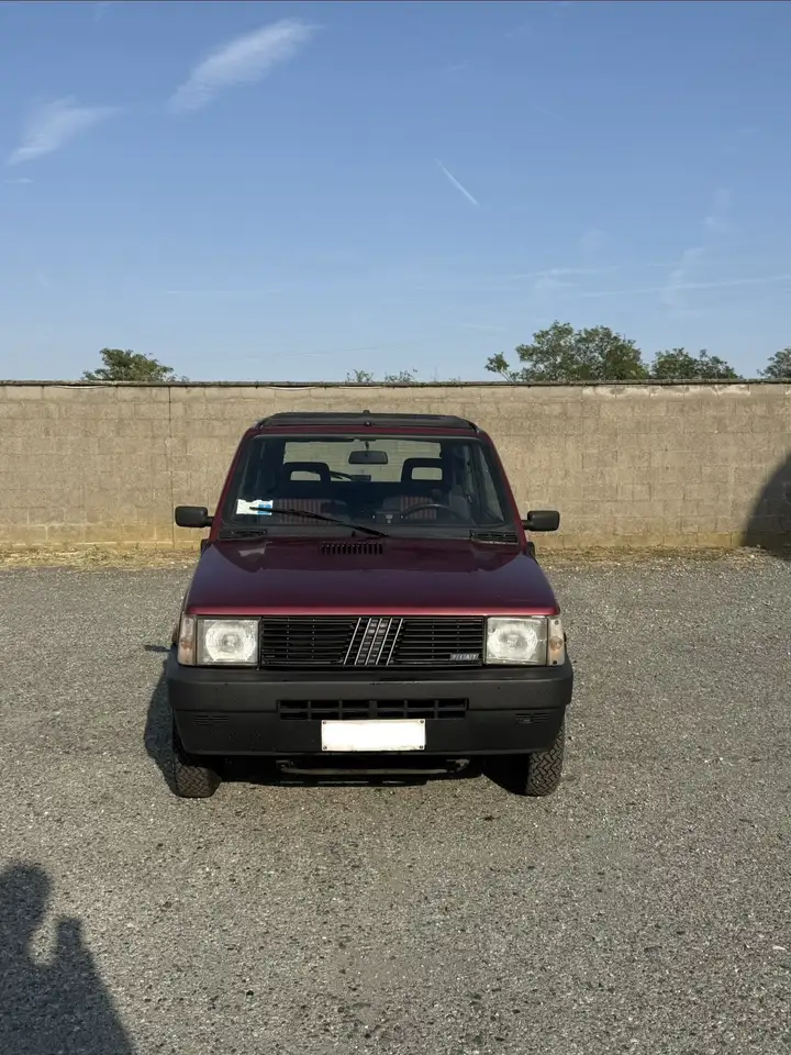 Fiat Panda 1.1 Country Club 4x4, foto 6