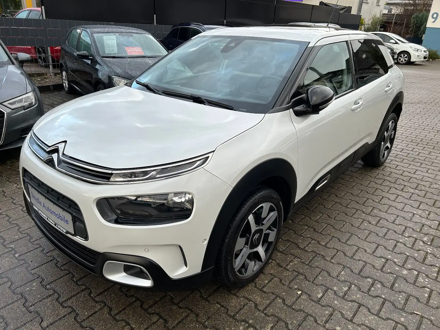 Citroen C4 Cactus 1,2  PT 110 S&S Shine Automatik 55TKM Weiß - 2