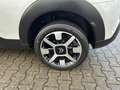Citroen C4 Cactus 1,2  PT 110 S&S Shine Automatik 55TKM Weiß - thumbnail 13
