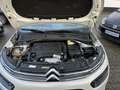 Citroen C4 Cactus 1,2  PT 110 S&S Shine Automatik 55TKM Weiß - thumbnail 14