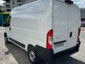 Citroen Jumper L2H2 3.3 T 140 CH Weiß - thumbnail 5