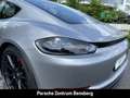 Porsche Cayman 718 Cayman GTS 4.0 Silber - thumbnail 32