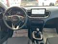 Kia XCeed 1.0 TGDi 100cv BUSINESS KM ZERO Weiß - thumbnail 12
