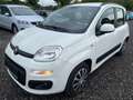 Fiat Panda Panda 1,2 69 Lounge Lounge Weiß - thumbnail 1