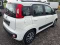 Fiat Panda Panda 1,2 69 Lounge Lounge Weiß - thumbnail 5