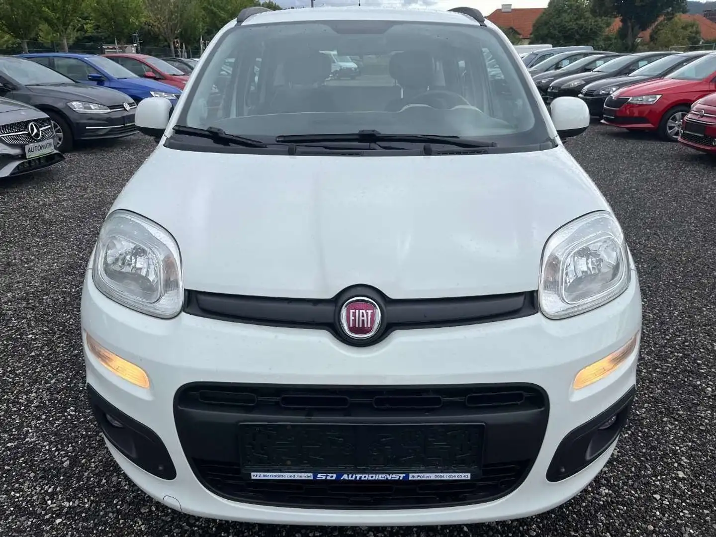 Fiat Panda Panda 1,2 69 Lounge Lounge Weiß - 2