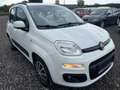 Fiat Panda Panda 1,2 69 Lounge Lounge Weiß - thumbnail 3