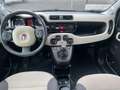 Fiat Panda Panda 1,2 69 Lounge Lounge Weiß - thumbnail 14