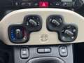 Fiat Panda Panda 1,2 69 Lounge Lounge Weiß - thumbnail 20
