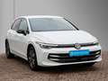 Volkswagen Golf VIII 1.5 TSI GOAL /LED+/Navi/ACC/AHK/DAB+ Weiß - thumbnail 4