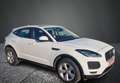 Jaguar E-Pace 2.0 D 180 AWD 117950 Km 2018 Weiß - thumbnail 2