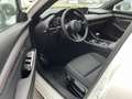 Mazda 3 Mazda3 5HB 2.5L e-SKYACTIV G 140ps 6MT 2WD HOMURA Weiß - thumbnail 4