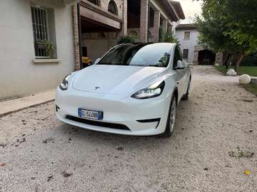 Model Y 2021 Single Motor rwd