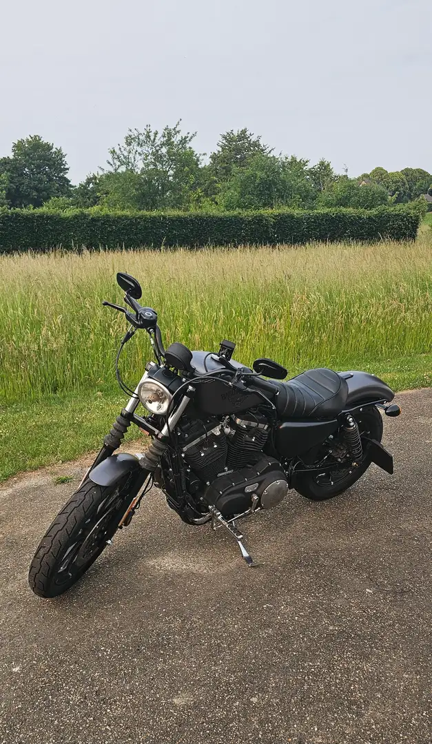 Harley-Davidson Iron 883 Sportster Iron 883 Gri - 2