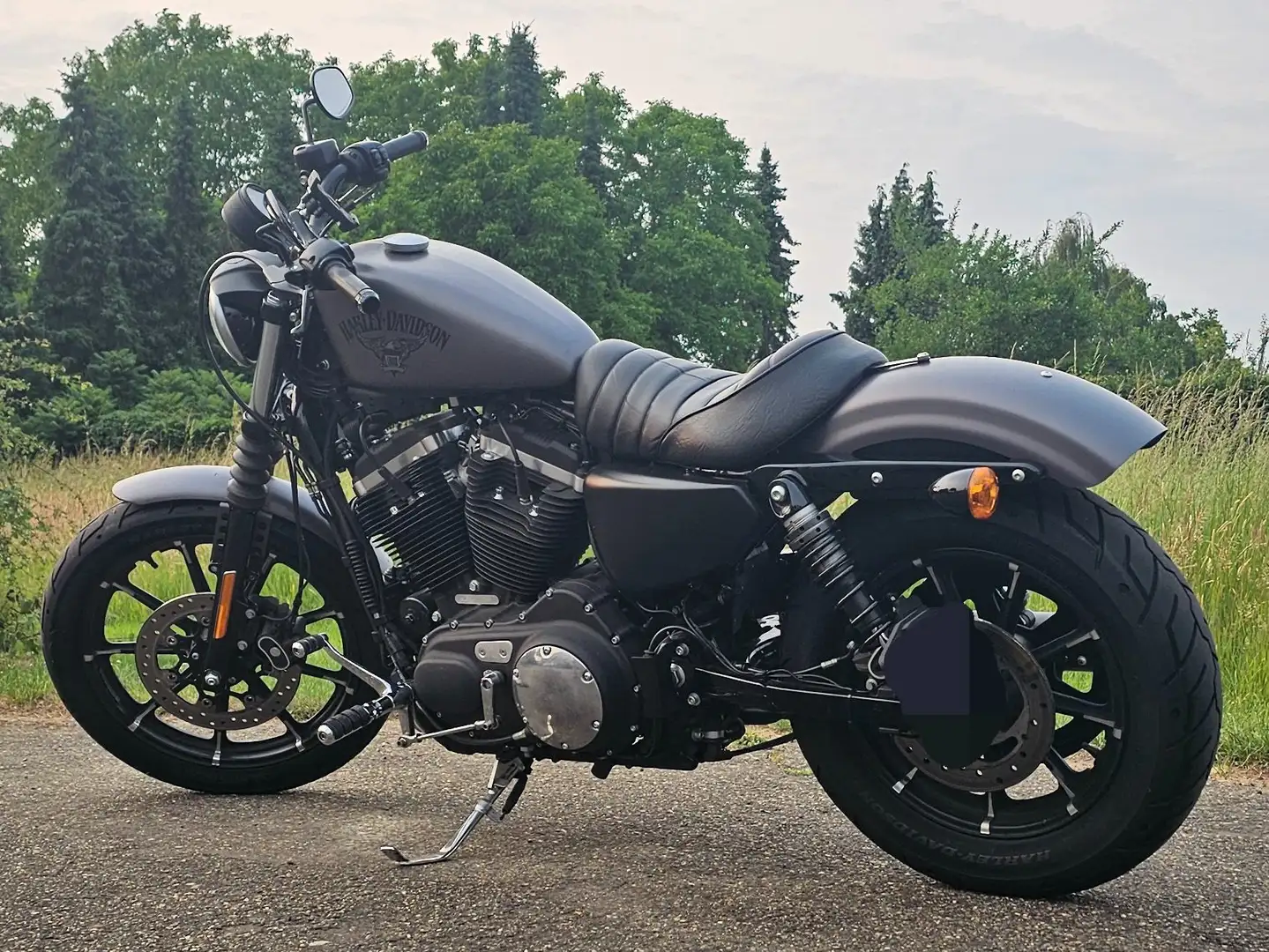 Harley-Davidson Iron 883 Sportster Iron 883 Gri - 1