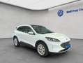 Ford Kuga 2.5 Duratec PHEV TITANIUM X AHK Pano Weiß - thumbnail 9