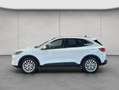 Ford Kuga 2.5 Duratec PHEV TITANIUM X AHK Pano Weiß - thumbnail 2