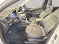 Ford Kuga 2.5 Duratec PHEV TITANIUM X AHK Pano Weiß - thumbnail 11