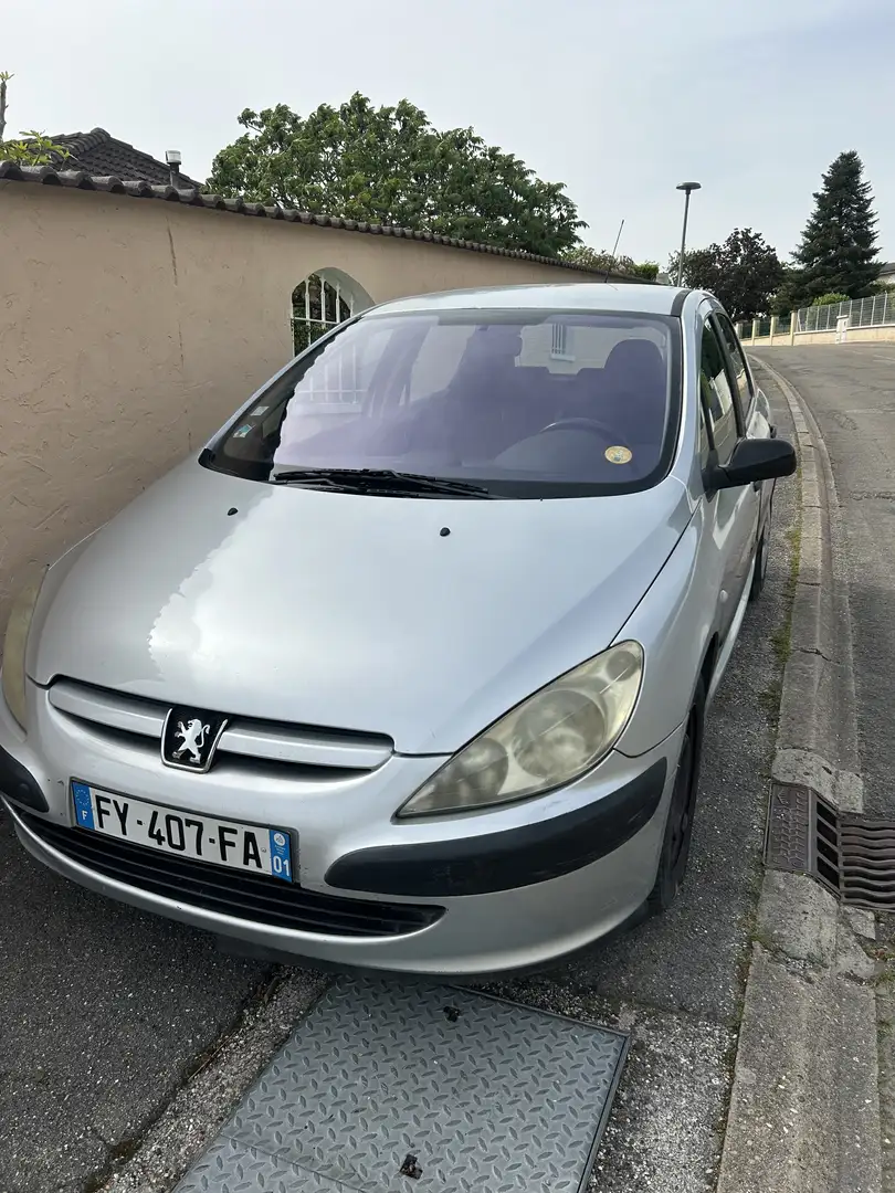 Peugeot 307 1.6i 16V XS - 1