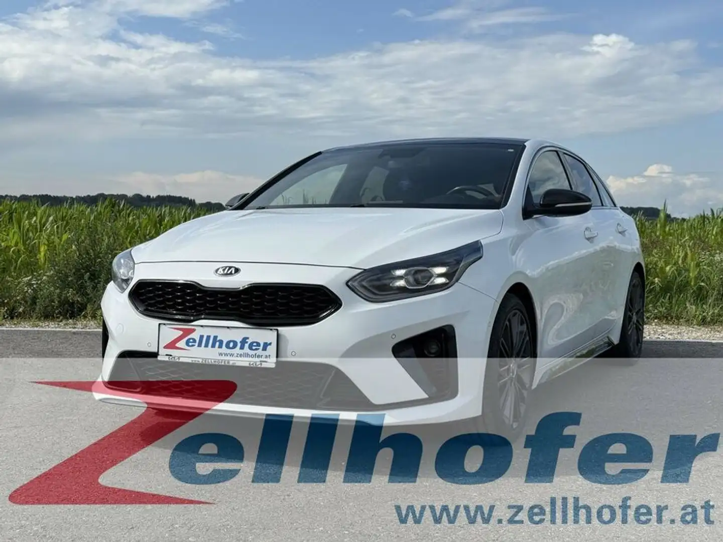 Kia ProCeed / pro_cee'd 1,6 CRDi SCR GT-Line DCT Aut. Weiß - 1