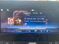 Mercedes-Benz Sprinter 319 CDI Chassis L3 RWD SELECT Weiß - thumbnail 13