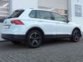 Volkswagen Tiguan Active IQ-DrivePaket Frontscheibenheizung Weiß - thumbnail 18