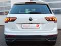 Volkswagen Tiguan Active IQ-DrivePaket Frontscheibenheizung Weiß - thumbnail 13