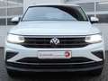 Volkswagen Tiguan Active IQ-DrivePaket Frontscheibenheizung Weiß - thumbnail 14