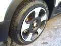 Fiat Panda Cross Pandina 1.0 FireFly Hybrid 5Posto Nuovo Mo Bianco - thumbnail 4