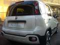 Fiat Panda Cross Pandina 1.0 FireFly Hybrid 5Posto Nuovo Mo Bianco - thumbnail 10
