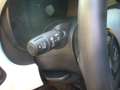 Fiat Panda Cross Pandina 1.0 FireFly Hybrid 5Posto Nuovo Mo Bianco - thumbnail 18