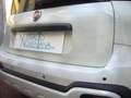 Fiat Panda Cross Pandina 1.0 FireFly Hybrid 5Posto Nuovo Mo Bianco - thumbnail 11