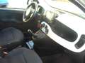 Fiat Panda Cross Pandina 1.0 FireFly Hybrid 5Posto Nuovo Mo Bianco - thumbnail 27
