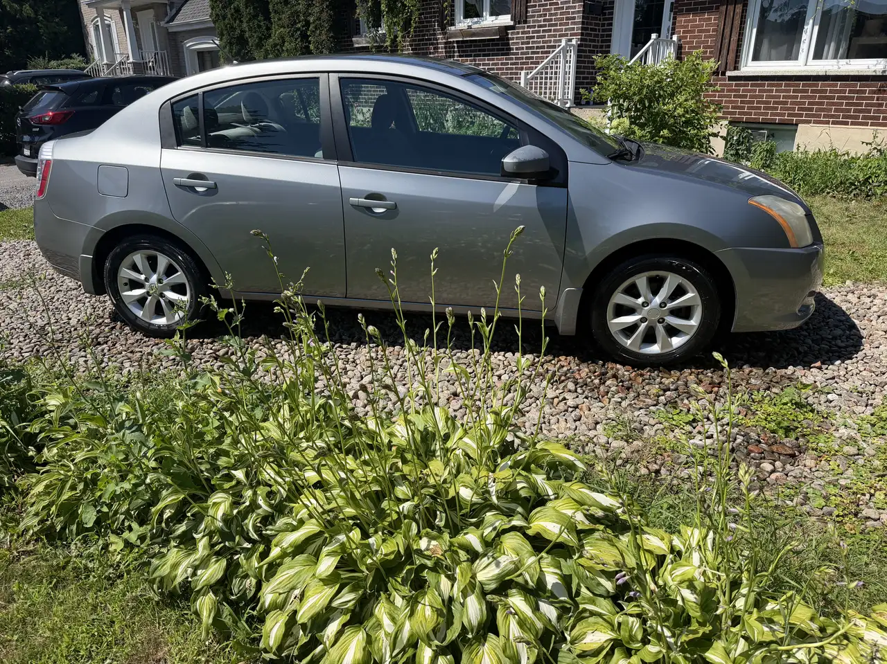 n Sentra fotografie n Sentra