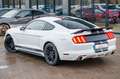 Ford Mustang 3.7 LETZTE 2017 MODEL! LPG BRC NAVI STZ. Blanc - thumbnail 14