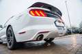 Ford Mustang 3.7 LETZTE 2017 MODEL! LPG BRC NAVI STZ. Blanc - thumbnail 21
