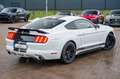 Ford Mustang 3.7 LETZTE 2017 MODEL! LPG BRC NAVI STZ. Blanc - thumbnail 13