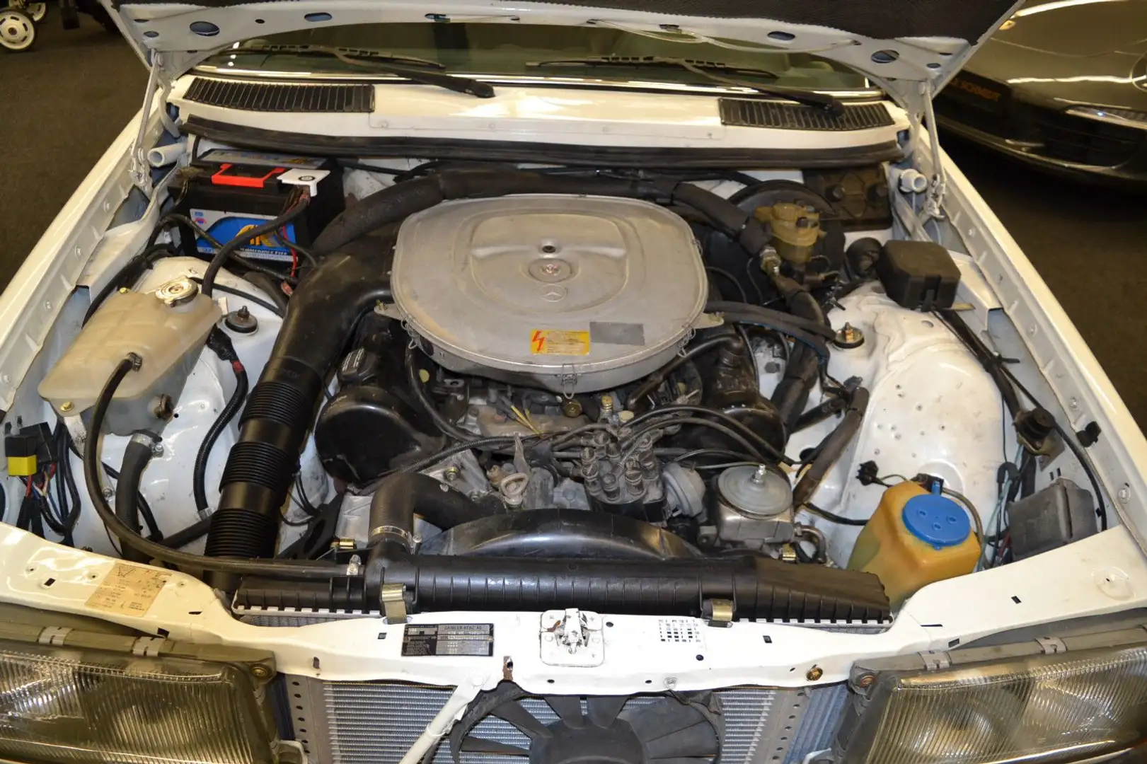 Mercedes-Benz 200 V8 5.0 (W123) H-KENNZEICHEN White - 1