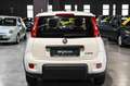 Fiat Panda Hybrid 1.0 70cv Bianco - thumbnail 6