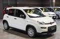 Fiat Panda Hybrid 1.0 70cv Bianco - thumbnail 3
