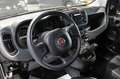 Fiat Panda Hybrid 1.0 70cv Bianco - thumbnail 10