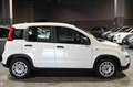 Fiat Panda Hybrid 1.0 70cv Bianco - thumbnail 4