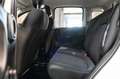 Fiat Panda Hybrid 1.0 70cv Bianco - thumbnail 13