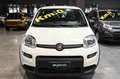 Fiat Panda Hybrid 1.0 70cv Bianco - thumbnail 2