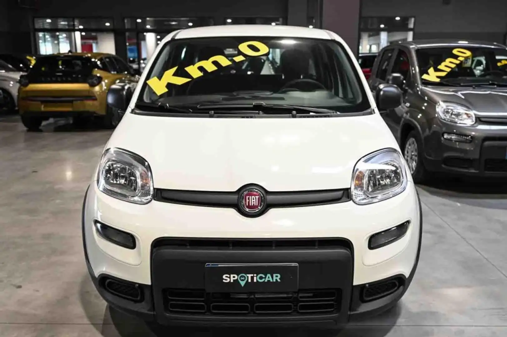 Fiat Panda Hybrid 1.0 70cv Bianco - 2