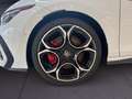 Volkswagen Golf GTI 2,0 TSI 265 PS DSG WKR PANO Weiß - thumbnail 7
