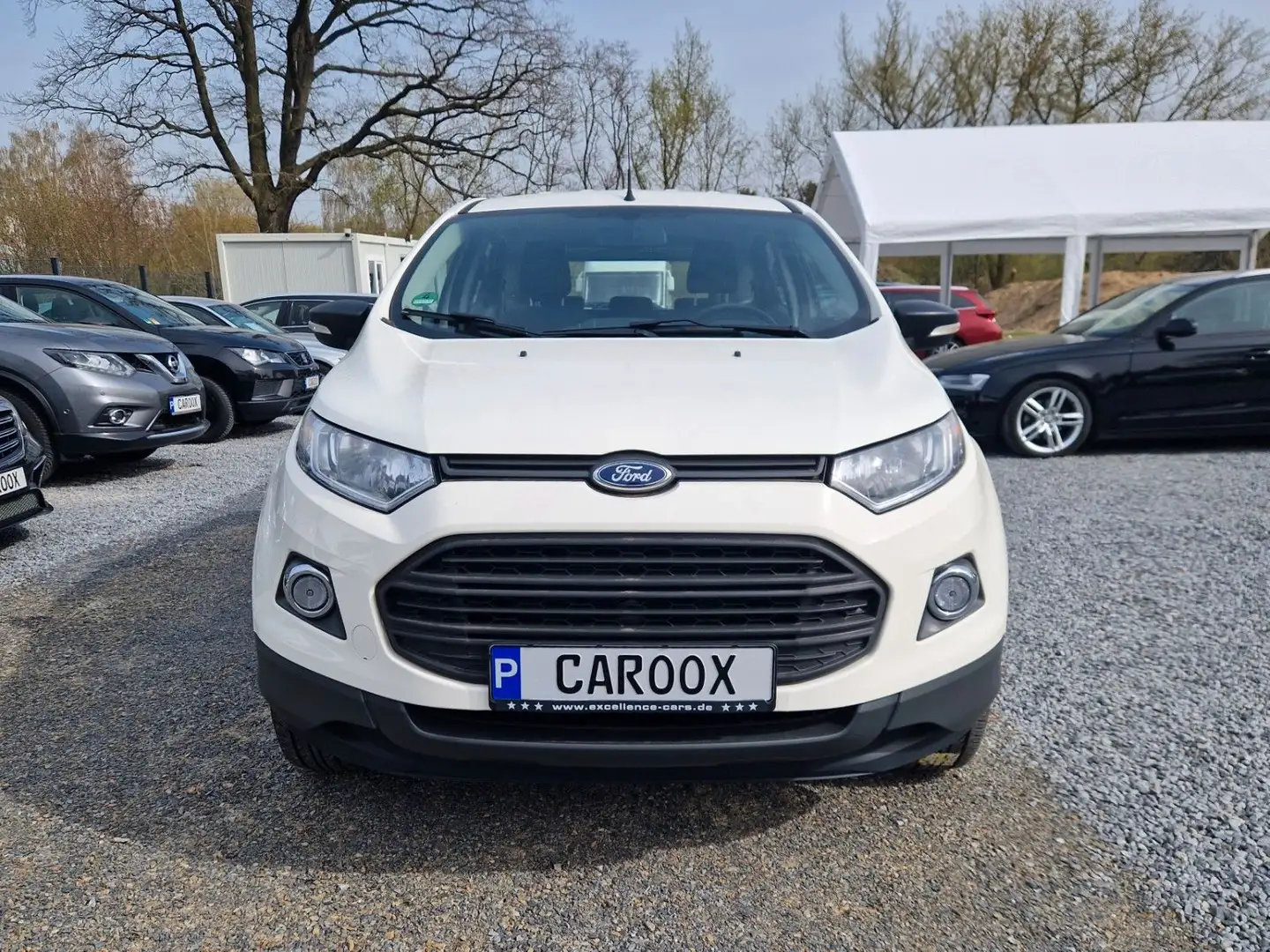 Ford EcoSport 1,5 Ti-VCT PowerShift Trend AUTOMATIK White - 2